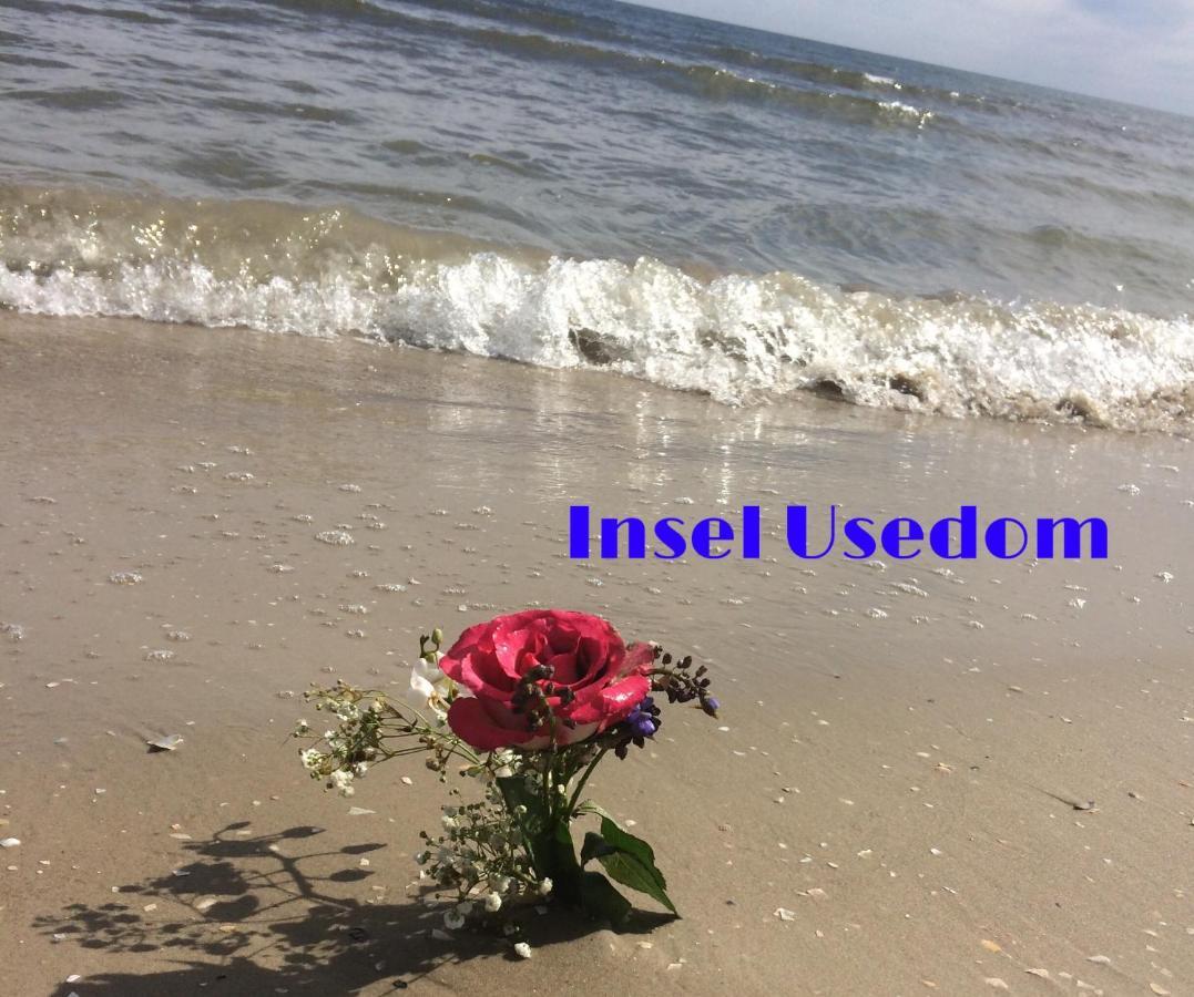 Ferienwohnung Mit Terrasse - Insel Usedom Трасенхайде Екстериор снимка