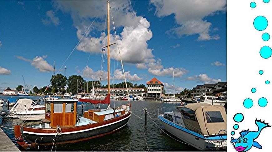 Ferienwohnung Mit Terrasse - Insel Usedom Трасенхайде Екстериор снимка