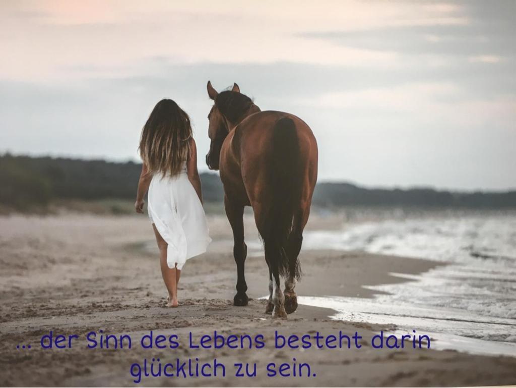 Ferienwohnung Mit Terrasse - Insel Usedom Трасенхайде Екстериор снимка