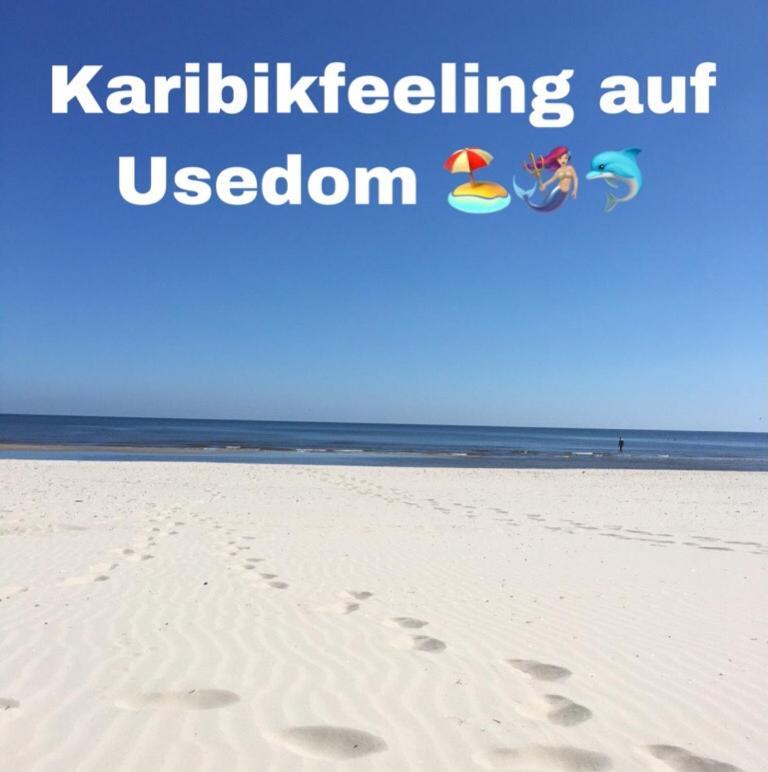 Ferienwohnung Mit Terrasse - Insel Usedom Трасенхайде Екстериор снимка