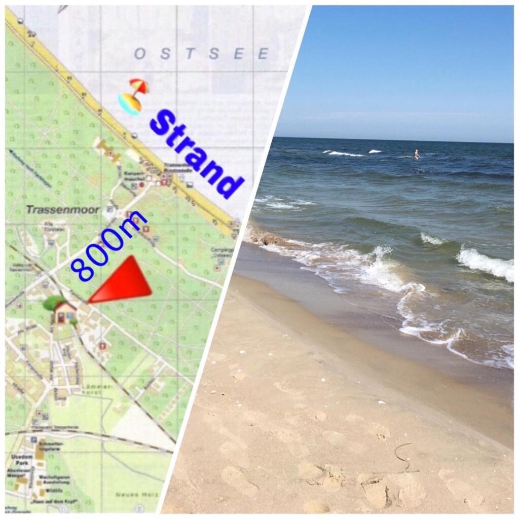 Ferienwohnung Mit Terrasse - Insel Usedom Трасенхайде Екстериор снимка