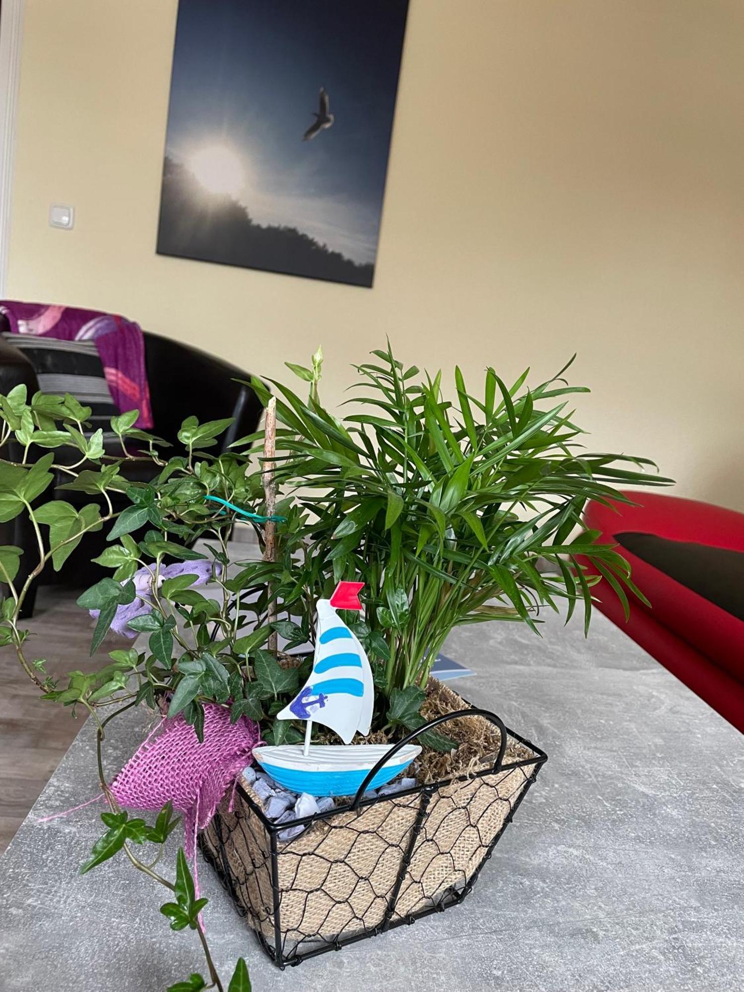 Ferienwohnung Mit Terrasse - Insel Usedom Трасенхайде Екстериор снимка