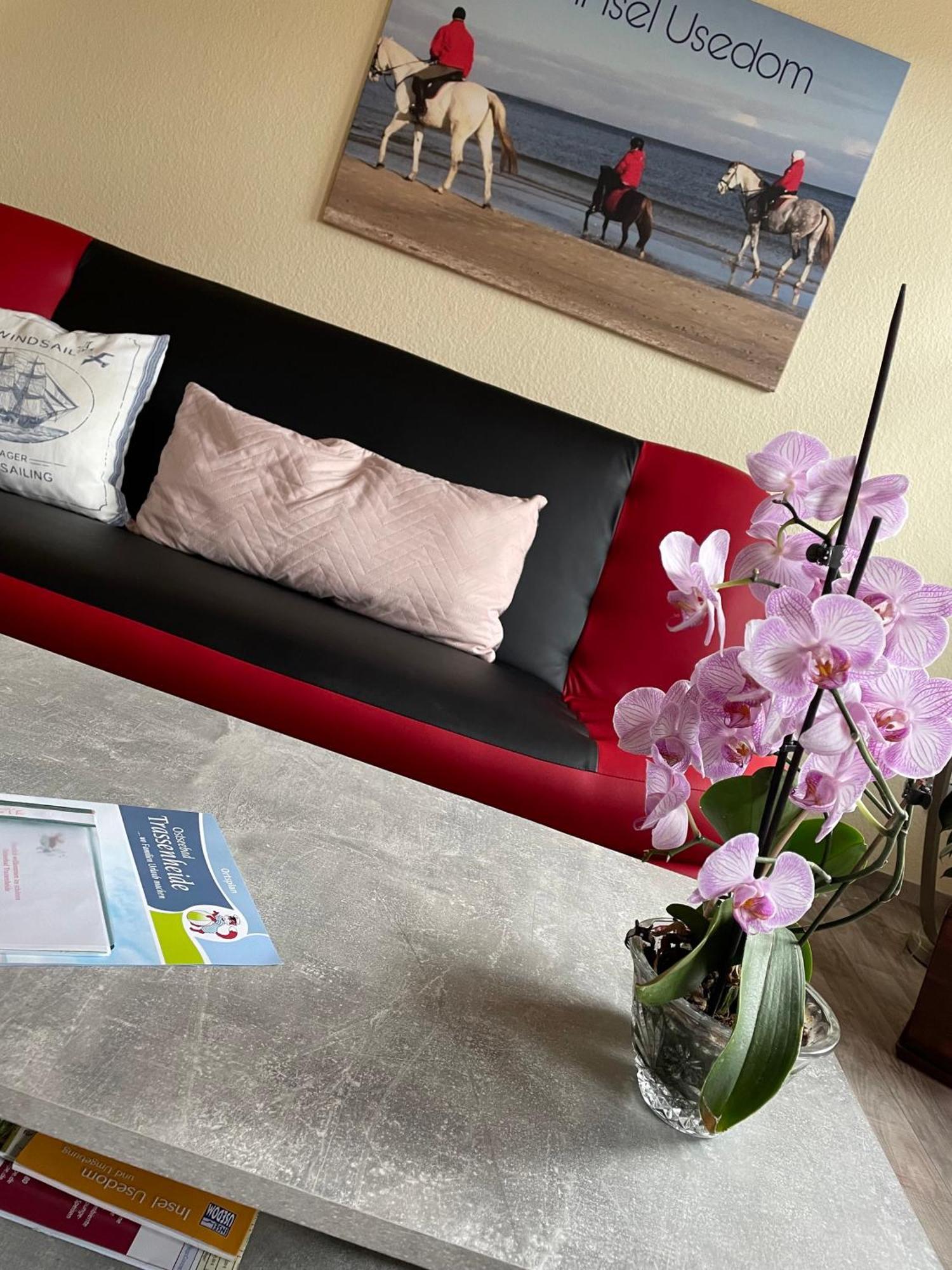 Ferienwohnung Mit Terrasse - Insel Usedom Трасенхайде Екстериор снимка