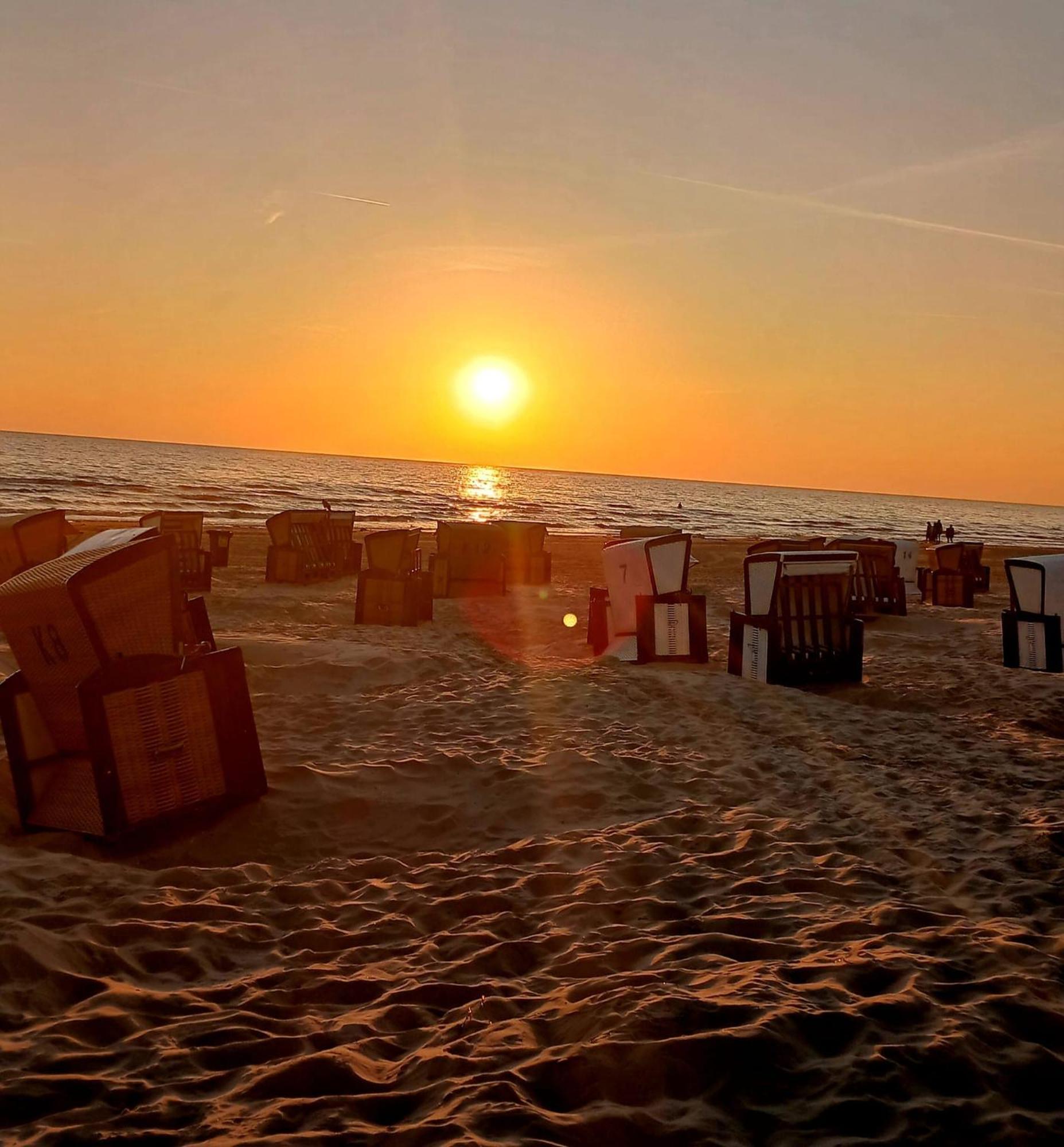 Ferienwohnung Mit Terrasse - Insel Usedom Трасенхайде Екстериор снимка